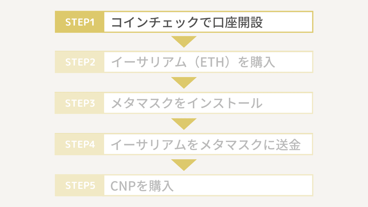 CNPの買い方1