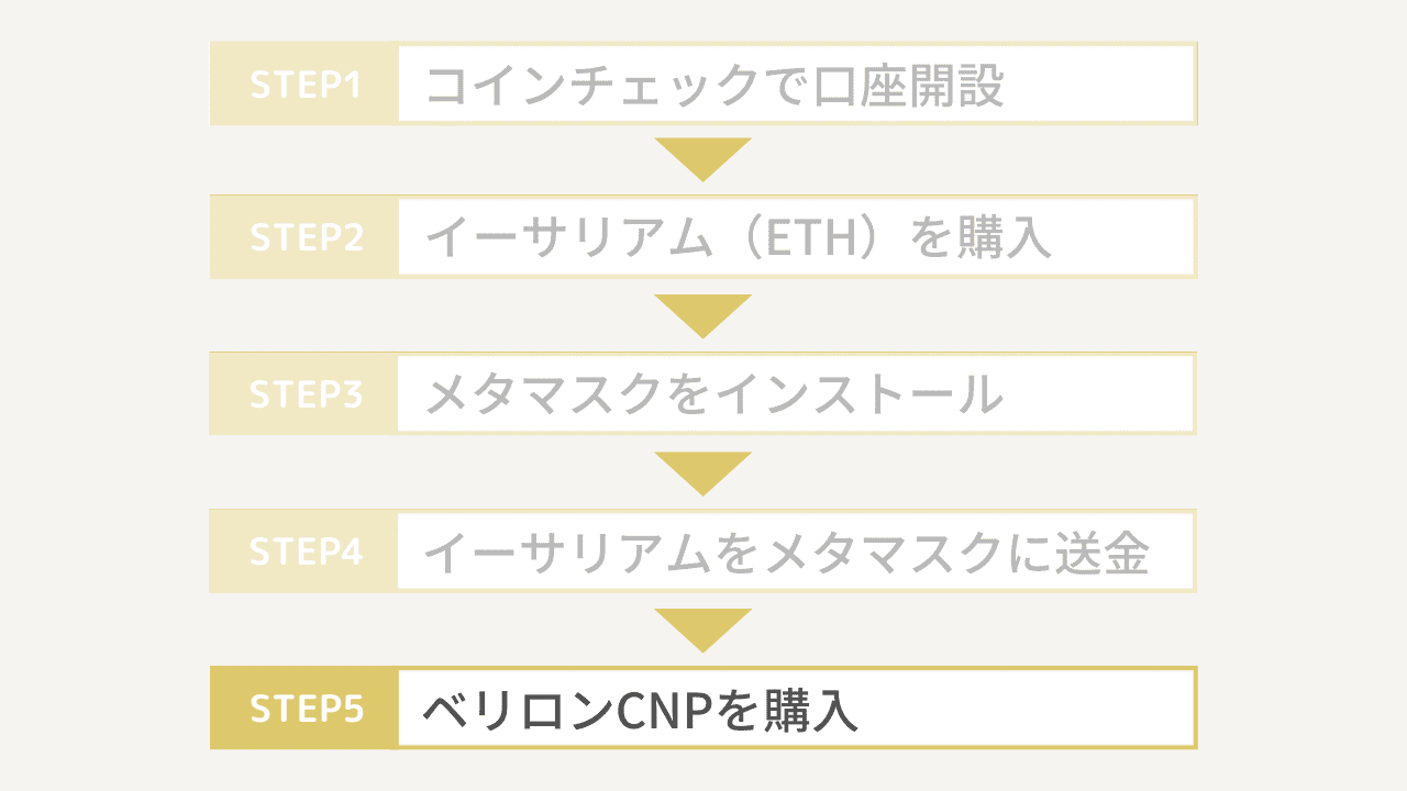 ベリロンCNPの買い方5