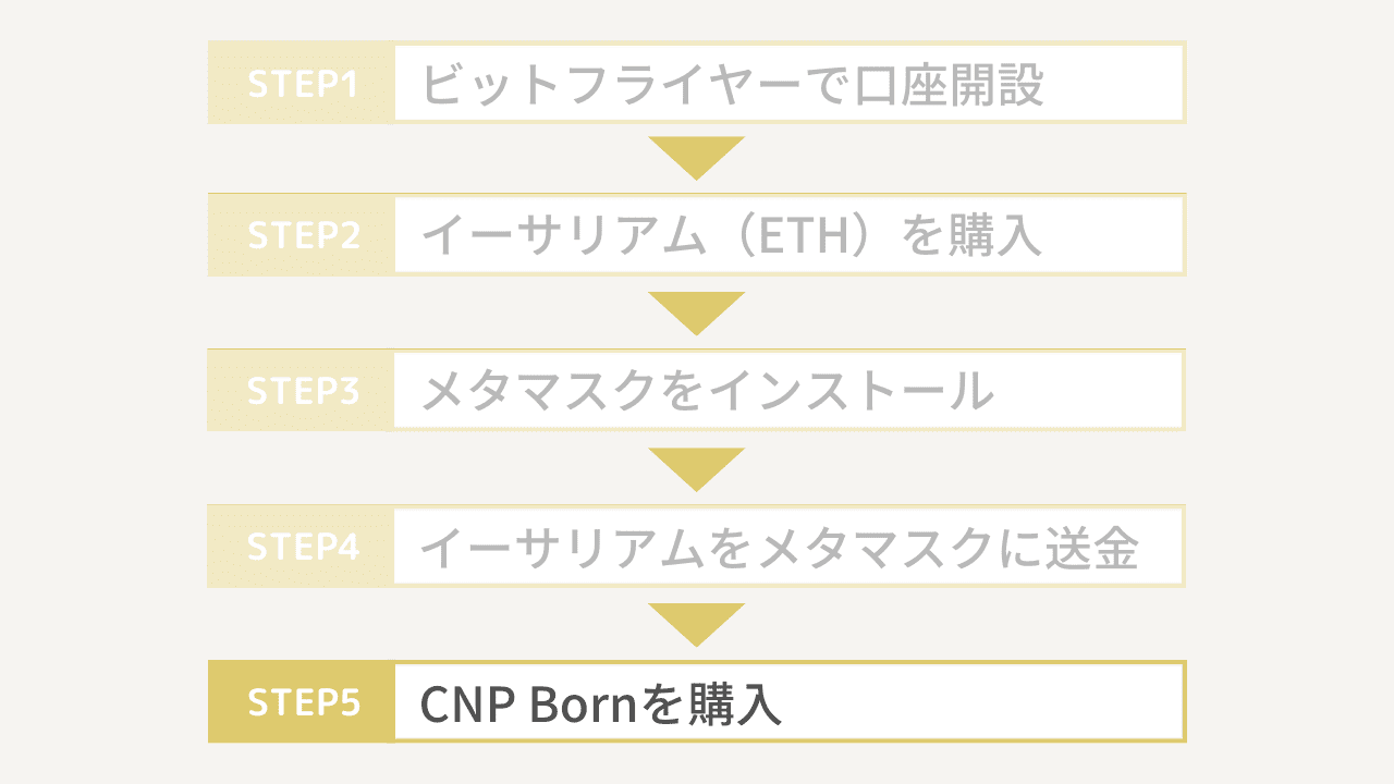 CNP Bornの買い方5