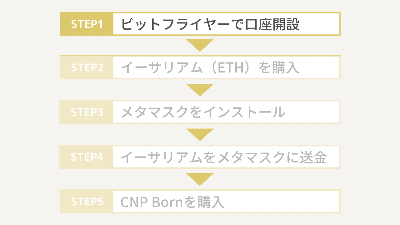 CNP Bornの買い方1