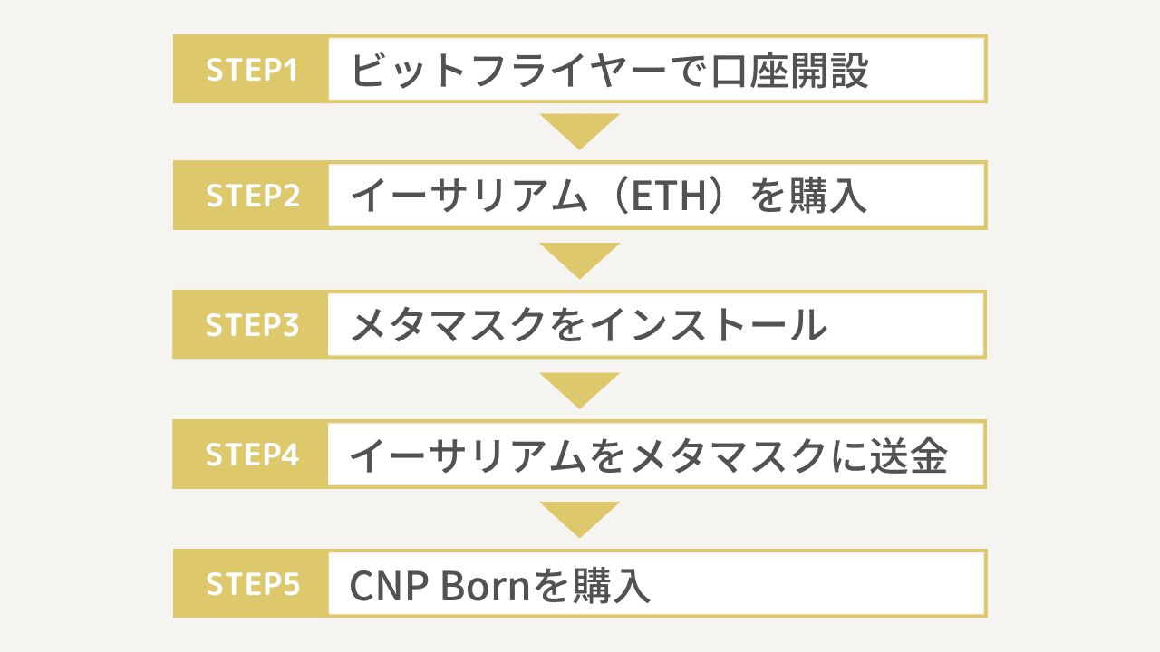 CNP Bornの買い方