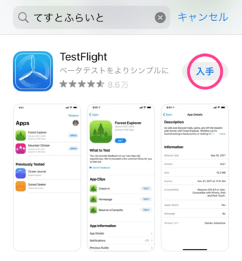 Test Flightアプリのダウンロード画面
