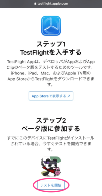 Test Flightの画面