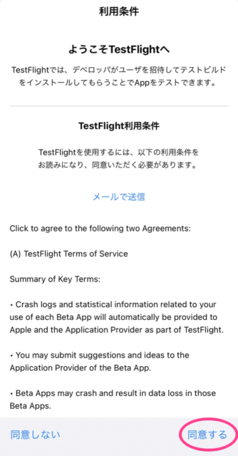 Test Flightの画面3