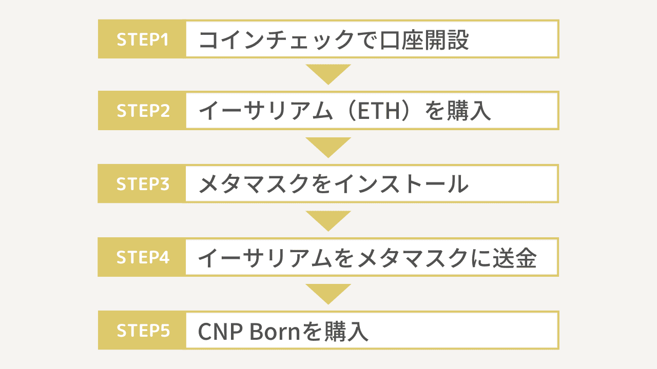 CNP bornの買い方