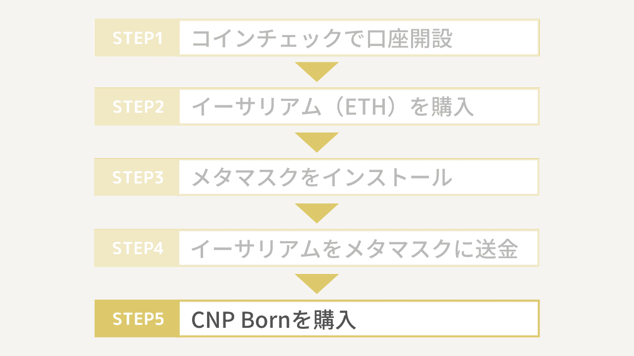 CNP bornの買い方5