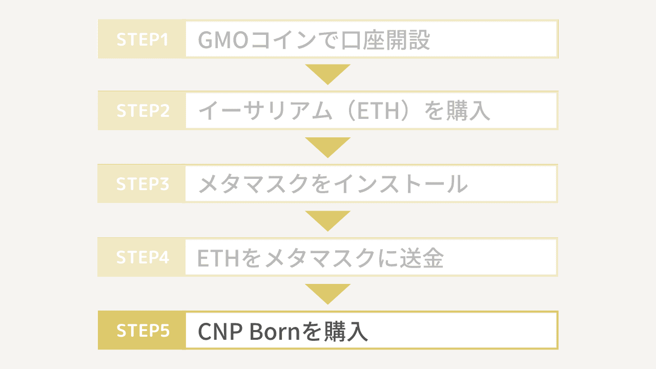 CNP Bornの買い方5